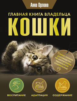 Главная книга владельца кошки - Орлова Анна - Читать 📖 Читать онлайн 👀 Читаемые книги читать онлайн бесплатно 🔥 booksread-online.com