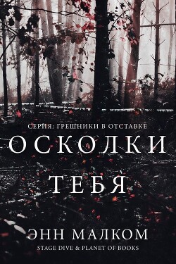 Осколки тебя (ЛП) - Малком Энн - Читать 📖 Читать онлайн 👀 Читаемые книги читать онлайн бесплатно 🔥 booksread-online.com