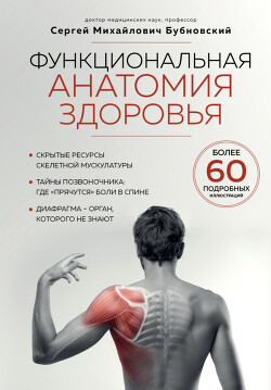Функциональная анатомия здоровья - Бубновский Сергей Михайлович - Читать 📖 Читать онлайн 👀 Читаемые книги читать онлайн бесплатно 🔥 booksread-online.com