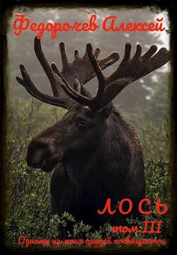 Лось 3 (СИ) - Федорочев Алексей - Читать 📖 Читать онлайн 👀 Читаемые книги читать онлайн бесплатно 🔥 booksread-online.com