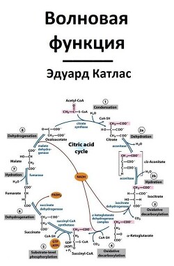 Волновая функция (СИ) - Катлас Эдуард - Читать 📖 Читать онлайн 👀 Читаемые книги читать онлайн бесплатно 🔥 booksread-online.com