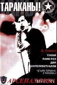 Дмитрий Спирин - Тупой панк-рок для интеллектуалов - Читать 📖 Читать онлайн 👀 Читаемые книги читать онлайн бесплатно 🔥 booksread-online.com