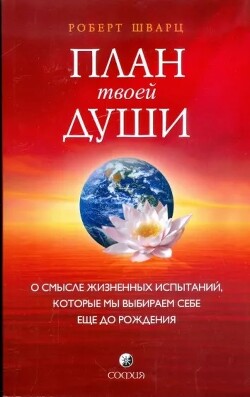 План твоей души. О смысле жизненных испытаний, которые мы выбираем себе еще до рождения - Шварц Роберт - Читать 📖 Читать онлайн 👀 Читаемые книги читать онлайн бесплатно 🔥 booksread-online.com