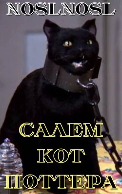 Салем кот Поттера (СИ) - Абрамов Владимир "noslnosl" - Читать 📖 Читать онлайн 👀 Читаемые книги читать онлайн бесплатно 🔥 booksread-online.com