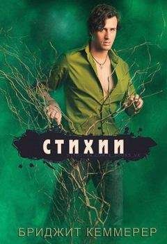 Бриджид Кеммерер - Стихии - Читать 📖 Читать онлайн 👀 Читаемые книги читать онлайн бесплатно 🔥 booksread-online.com