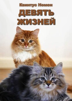 Девять жизней (СИ) - Номен Квинтус - Читать Читать онлайн Читаемые книги читать онлайн бесплатно booksread-online.com