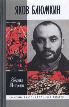 Евгений Матонин - Яков Блюмкин: Ошибка резидента - Читать | Читать онлайн | Читаемые книги читать онлайн бесплатно | booksread-online.com
