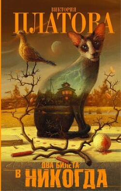 Два билета в никогда - Платова Виктория Евгеньевна - Читать онлайн Читаемые книги бесплатно booksread-online.com