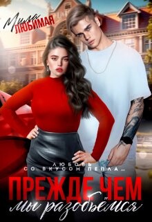 Прежде чем мы разобьёмся (СИ) - Любимая Мила - Читать онлайн Читаемые книги бесплатно booksread-online.com