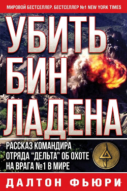 Убить Бен Ладена (ЛП) - Фьюри Делтон - Читать онлайн Читаемые книги бесплатно booksread-online.com