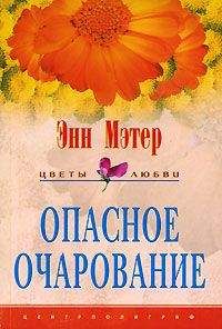 Энн Мэтер - Опасное очарование - Читать 📖 Читать онлайн 👀 Читаемые книги читать онлайн бесплатно 🔥 booksread-online.com
