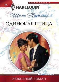 Шома Нараянан - Одинокая птица - Читать 📖 Читать онлайн 👀 Читаемые книги читать онлайн бесплатно 🔥 booksread-online.com