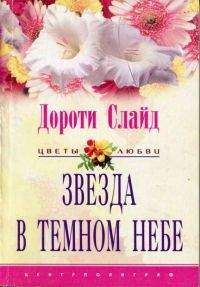 Дороти Слайд - Звезда в темном небе - Читать | Читать онлайн | Читаемые книги читать онлайн бесплатно | booksread-online.com