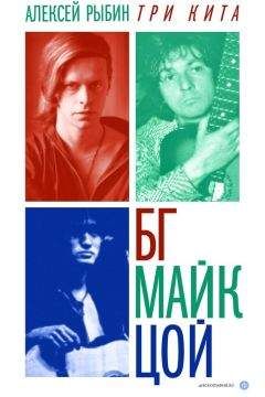 Алексей Рыбин - Три кита: БГ, Майк, Цой - Читать 📖 Читать онлайн 👀 Читаемые книги читать онлайн бесплатно 🔥 booksread-online.com