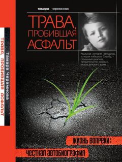 Тамара Черемнова - Трава, пробившая асфальт - Читать 📖 Читать онлайн 👀 Читаемые книги читать онлайн бесплатно 🔥 booksread-online.com