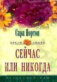 Сара Нортон - Сейчас или никогда - Читать | Читать онлайн | Читаемые книги читать онлайн бесплатно | booksread-online.com