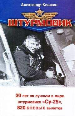 Александр Кошкин - Штурмовик - Читать 📖 Читать онлайн 👀 Читаемые книги читать онлайн бесплатно 🔥 booksread-online.com
