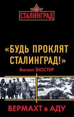 Вигант Вюстер - «Будь проклят Сталинград!» Вермахт в аду - Читать 📖 Читать онлайн 👀 Читаемые книги читать онлайн бесплатно 🔥 booksread-online.com