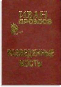 Иван Дроздов - Разведенные мосты - Читать 📖 Читать онлайн 👀 Читаемые книги читать онлайн бесплатно 🔥 booksread-online.com