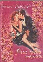 Памела Макалузо - Роза среди терний - Читать Читать онлайн Читаемые книги читать онлайн бесплатно booksread-online.com