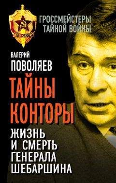 Валерий Поволяев - Тайны Конторы. Жизнь и смерть генерала Шебаршина - Читать | Читать онлайн | Читаемые книги читать онлайн бесплатно | booksread-online.com