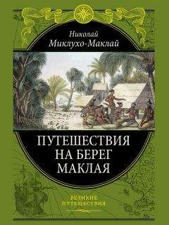 Николай Миклухо-Маклай - Путешествие на берег Маклая - Читать 📖 Читать онлайн 👀 Читаемые книги читать онлайн бесплатно 🔥 booksread-online.com