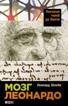 Леонард Шлейн - Мозг Леонардо - Читать 📖 Читать онлайн 👀 Читаемые книги читать онлайн бесплатно 🔥 booksread-online.com