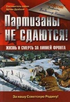 Владимир Ильин - Партизаны не сдаются! Жизнь и смерть за линией фронта - Читать 📖 Читать онлайн 👀 Читаемые книги читать онлайн бесплатно 🔥 booksread-online.com