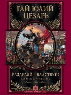 Гай Юлий Цезарь - Разделяй и властвуй. Записки триумфатора - Читать 📖 Читать онлайн 👀 Читаемые книги читать онлайн бесплатно 🔥 booksread-online.com
