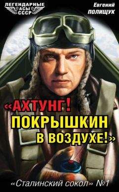 Евгений Полищук - «Ахтунг! Покрышкин в воздухе!». «Сталинский сокол» № 1 - Читать | Читать онлайн | Читаемые книги читать онлайн бесплатно | booksread-online.com