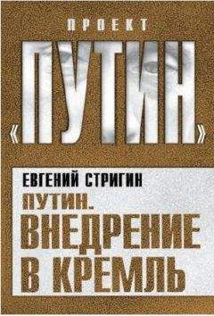 Евгений Стригин - Путин. Внедрение в Кремль - Читать 📖 Читать онлайн 👀 Читаемые книги читать онлайн бесплатно 🔥 booksread-online.com