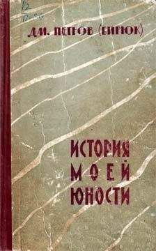 Дмитрий Петров-Бирюк - История моей юности - Читать | Читать онлайн | Читаемые книги читать онлайн бесплатно | booksread-online.com