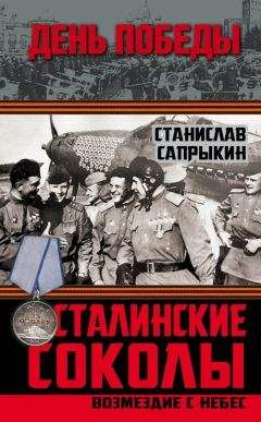 Станислав Сапрыкин - Сталинские соколы. Возмездие с небес - Читать 📖 Читать онлайн 👀 Читаемые книги читать онлайн бесплатно 🔥 booksread-online.com