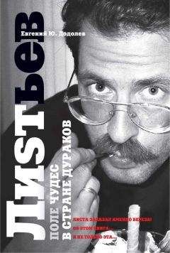 Евгений Додолев - Влад Лиsтьев. Поле чудес в стране дураков - Читать 📖 Читать онлайн 👀 Читаемые книги читать онлайн бесплатно 🔥 booksread-online.com