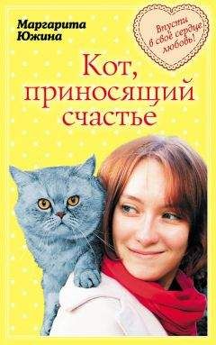 Маргарита Южина - Кот, приносящий счастье - Читать 📖 Читать онлайн 👀 Читаемые книги читать онлайн бесплатно 🔥 booksread-online.com