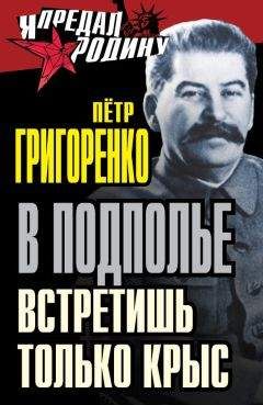 Петр Григоренко - В подполье встретишь только крыс - Читать 📖 Читать онлайн 👀 Читаемые книги читать онлайн бесплатно 🔥 booksread-online.com
