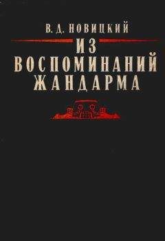 Василий Новицкий - Из воспоминаний жандарма - Читать Читать онлайн Читаемые книги читать онлайн бесплатно booksread-online.com