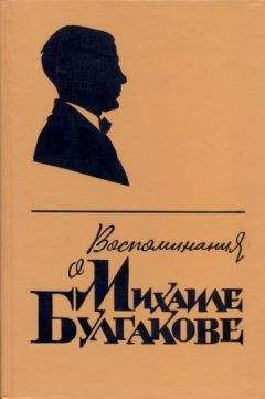 Елена Булгакова - Воспоминания о Михаиле Булгакове - Читать | Читать онлайн | Читаемые книги читать онлайн бесплатно | booksread-online.com