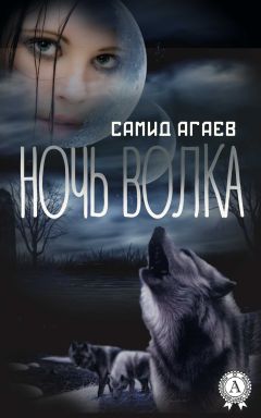 Самид Агаев - Ночь Волка - Читать 📖 Читать онлайн 👀 Читаемые книги читать онлайн бесплатно 🔥 booksread-online.com