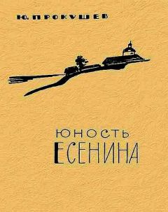Юрий Прокушев - Юность Есенина - Читать 📖 Читать онлайн 👀 Читаемые книги читать онлайн бесплатно 🔥 booksread-online.com