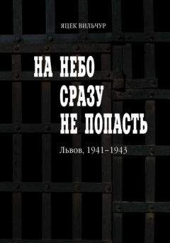 Яцек Вильчур - На небо сразу не попасть - Читать | Читать онлайн | Читаемые книги читать онлайн бесплатно | booksread-online.com