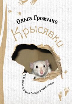 Ольга Громыко - Крысявки. Крысиное житие в байках и картинках - Читать | Читать онлайн | Читаемые книги читать онлайн бесплатно | booksread-online.com