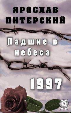 Ярослав Питерский - Падшие в небеса. 1997 - Читать 📖 Читать онлайн 👀 Читаемые книги читать онлайн бесплатно 🔥 booksread-online.com