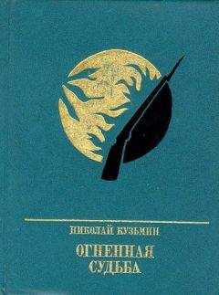 Николай Кузьмин - Огненная судьба. Повесть о Сергее Лазо - Читать 📖 Читать онлайн 👀 Читаемые книги читать онлайн бесплатно 🔥 booksread-online.com