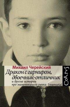Михаил Черейский - Дракон с гарниром, двоечник-отличник и другие истории про маменькиного сынка - Читать Читать онлайн Читаемые книги читать онлайн бесплатно booksread-online.com