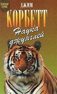 Джим Корбетт - Моя Индия - Читать 📖 Читать онлайн 👀 Читаемые книги читать онлайн бесплатно 🔥 booksread-online.com