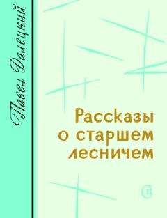 Павел Далецкий - Рассказы о старшем лесничем - Читать | Читать онлайн | Читаемые книги читать онлайн бесплатно | booksread-online.com