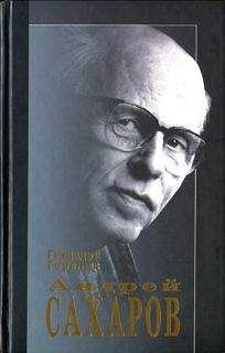 Геннадий Горелик - Андрей Сахаров. Наука и свобода - Читать | Читать онлайн | Читаемые книги читать онлайн бесплатно | booksread-online.com