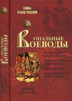 Андрей Богданов - Опальные воеводы - Читать 📖 Читать онлайн 👀 Читаемые книги читать онлайн бесплатно 🔥 booksread-online.com