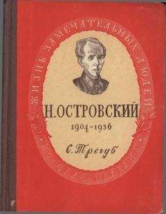 Семен Трегуб - Николай Алексеевич Островский - Читать | Читать онлайн | Читаемые книги читать онлайн бесплатно | booksread-online.com
